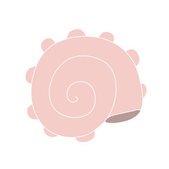 Beautiful curly seashell on an isolated background. Malyusk in the sink.