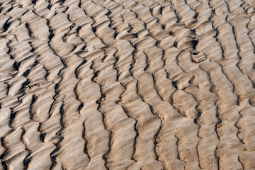 Sand texture surface. Warm color. Tropical beach concept. Ocean coast.