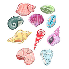 Set of sea shells on white background. Vector projectiles in cartoon style, isolated on white for design, vector illustration.