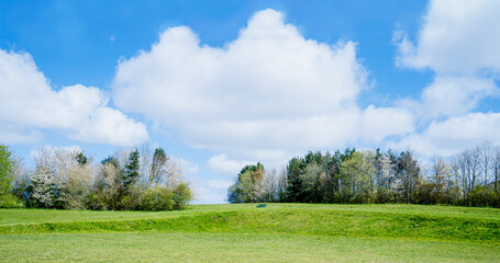 Fototapeta premium Spring fields with blue sky and fluffy clouds, Beautiful natural landscape on spring time with white Cherry blossom trees and meadow, Panoramic Enviroment public park with metal bench on grassland.