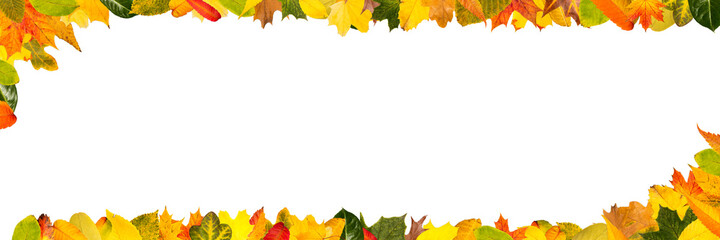 Buntes Herbst Laub als Rahmen für Header Banner