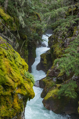 Snyder Creek at Glacier National Park, Montana
