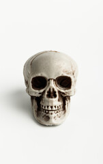 Skull on light grey background. Creative Halloween minimal concept. Remember that you will die.