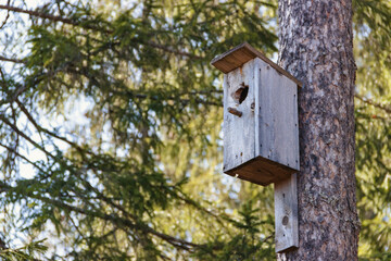 Horizontal photo of birdhouse in the park
