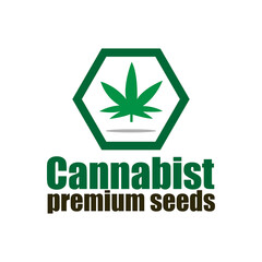 cannabis design logo vector. illustration cannabis logo business.
