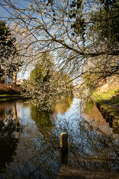 canal de roubaix