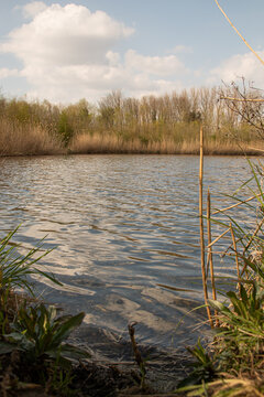 bassin filtrant