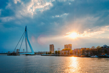 Obraz premium Rotterdam skyline cityscape with Erasmusbrug bridge over Nieuwe Maas in contre-jur on sunse, Netherlands.