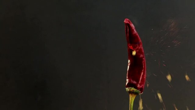 Eine Chilishote wird durchschossen