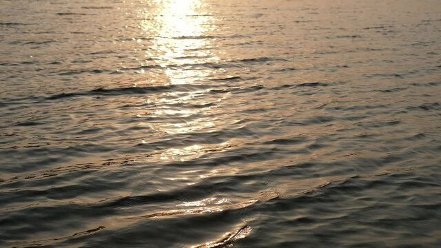 The waves are beautiful in the sunset background.