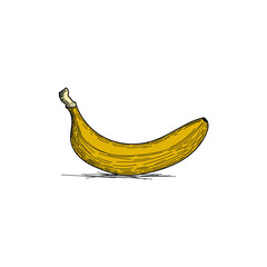 Banana freehand drawing