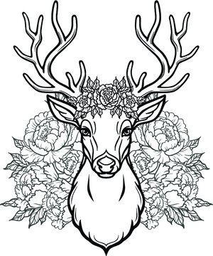 Linear drawing of the head of a young horned deer, openwork flowers, romantic wreath. Vector illustration isolated on a white background. Print, potser, t-shirt, card.