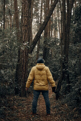 man in the forest