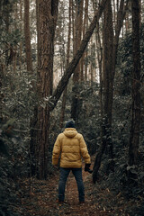 man in the forest