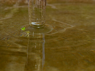 Water column and moving aquatic plants
