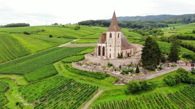 Beautiful old church on top of hill, stone wall and cemetery around, green rows of vineyards on slopes. Aerial shot of Eglise Saint-Jacques-le-Majeur in Hunawihr, camera fly away from building