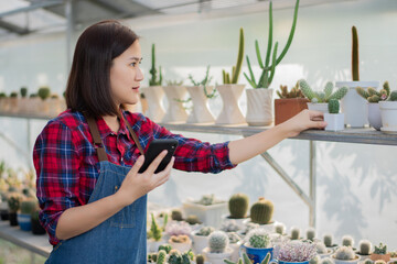 A beautiful Asian woman in a red and blue scottish shirt  Are using smartphones in Cactus Farm to get Cactus orders from customers in online market.
