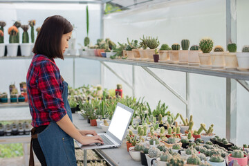 A beautiful Asian woman in a red and blue scottish shirt is using a laptop at a cactus farm to accept cactus orders from customers on an online marketplace.