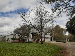 Casa rural de Galicia con hórreo y árboles frutales