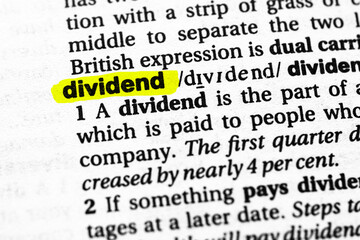 Highlighted word dividend concept and meaning.