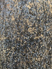 active gold grey stone 