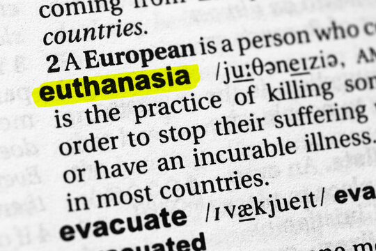 Highlighted Word Euthanasia Concept And Meaning