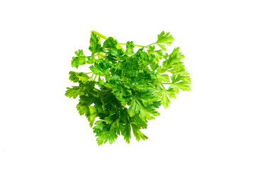 Plakat green parsley leaves on a white isolated background