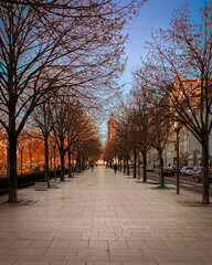 Sidewalk with leafless trees in Place Bellecour