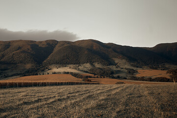 landscape in the mountains