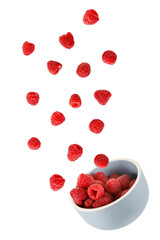 Fresh raspberries falling into bowl isolated on white background