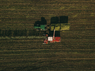 Obraz na płótnie Canvas Corn Harvest Harvester with Tractor