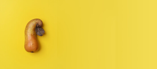 Bright yellow banner with one ugly bent ripe pear and copy space for text.
