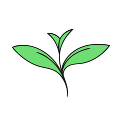 Green sprout of a plant on a white background. Ecology symbol. Vector isolated outline illustration