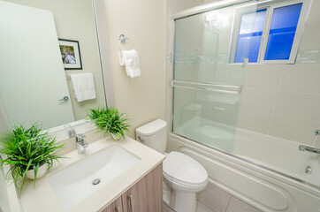 Fragment of a luxury bathroom