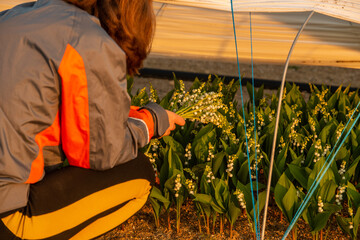 cueillette du muguet à nantes