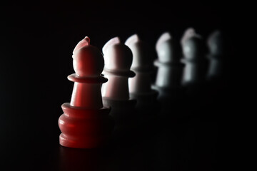 black and white chess pieces