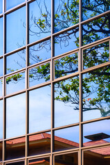 Light reflection of tile roof with green branches and blue sky on glass wall surface of modern building in vertical frame