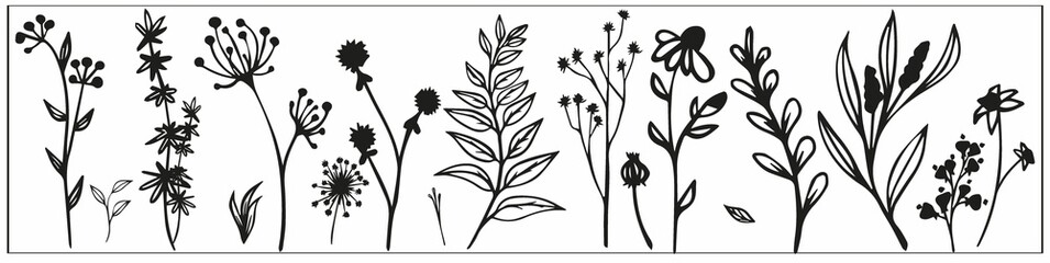 set of field herbs, meadow flowers, berries, leaves, linear black and white drawing of botanical elements, stylized vector graphics