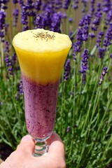 Smoothie made from Blueberry, Pineapple, Coconut Water, Soy yogurt and Agave Syrup. Sprinkle with chia seeds