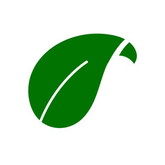 Eco leaves, logo, icon, template and design elements on white isolated background in green color. Vector illustration