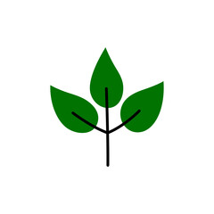 Eco leaves, logo, icon, template and design elements on white isolated background in green color. Vector illustration