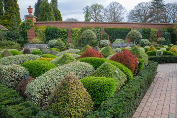 Topiary shrubs in the gardens at rhs wisley