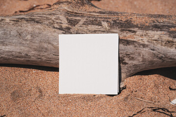 White blank card on sandy beach with old tree