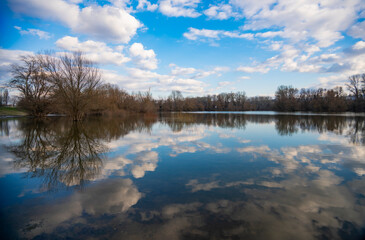 Trees by the water at winter time