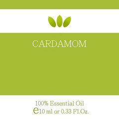 Cardamom essential oil. Essential oil label design. Cosmetics packaging template. Vector image on the theme of aromatherapy.