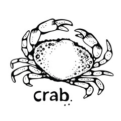 Crab vector illustration, isolated on white background