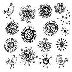 Flower design elements, vector hand drawn floral doodles