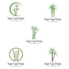 Sugar cane Logo Template vector symbol nature