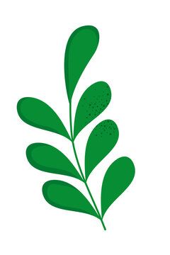 leaves foliage icon