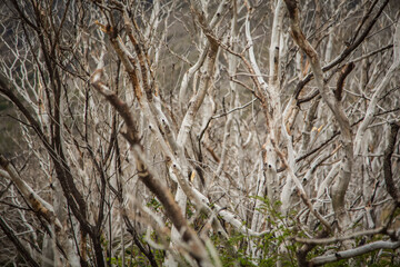 Torres del Paine National Park, Chile